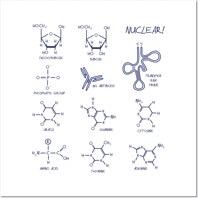 Nucleic Acid and Protein Structures Wall Art by squidego